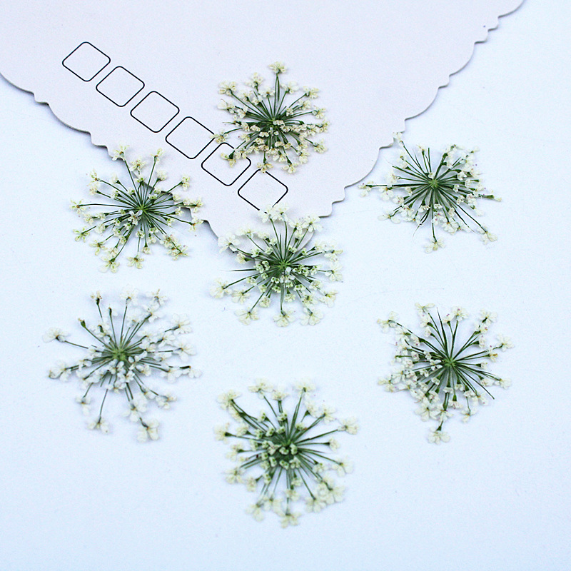 Resin Art Baby - 500 peças de Flores de Renda,