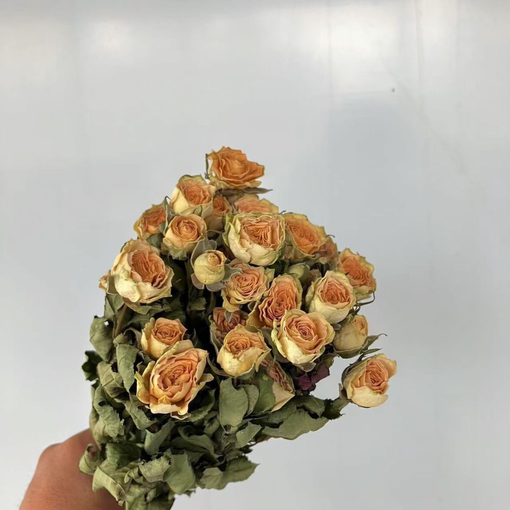 Ramos de rosas naturais preser - Resin Art Rose avaliação e preço