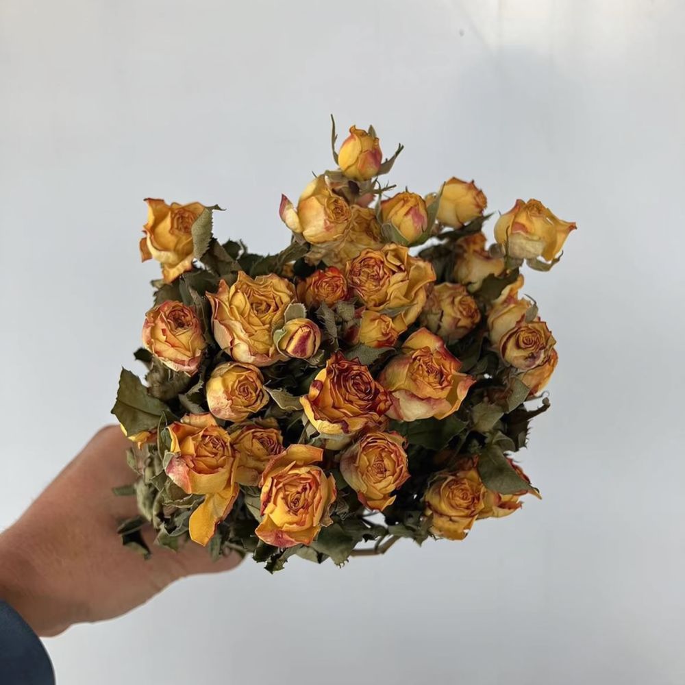 Ramos de rosas naturais preser - Resin Art Rose avaliação e preço