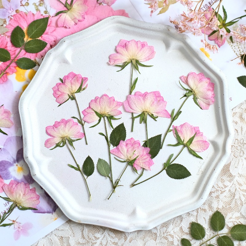 12 peças, Flores Secas Reais P - Resin Art Baby avaliação e preço