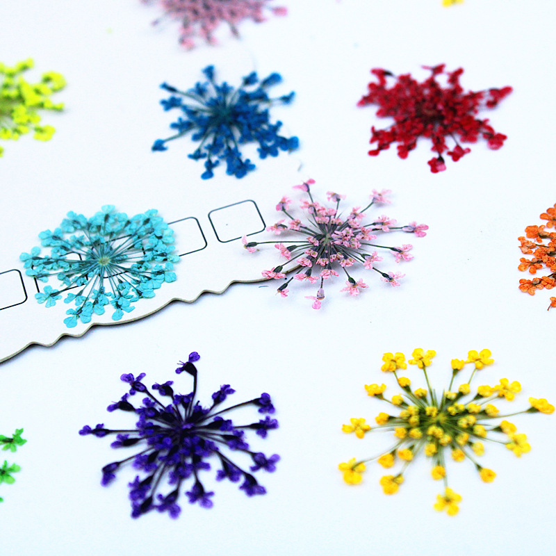 500 peças de Flores de Renda,  - Resin Art Baby avaliação e preço