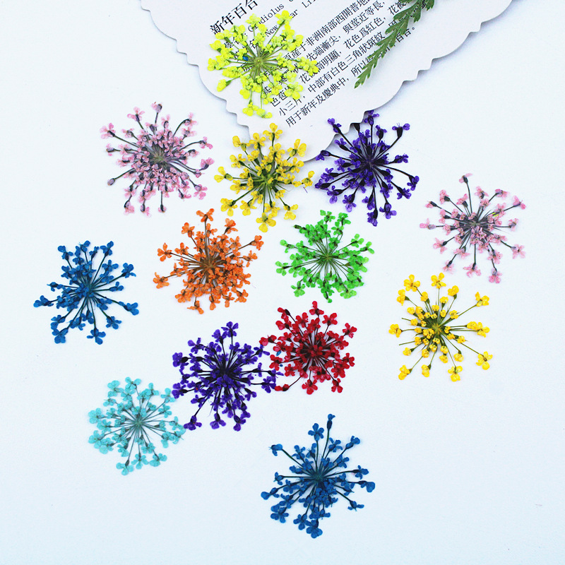 500 peças de Flores de Renda,  - Resin Art Baby avaliação e preço