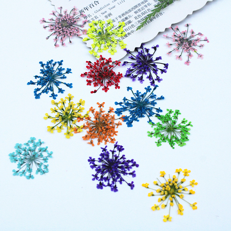 500 peças de Flores de Renda,  - Resin Art Baby avaliação e preço